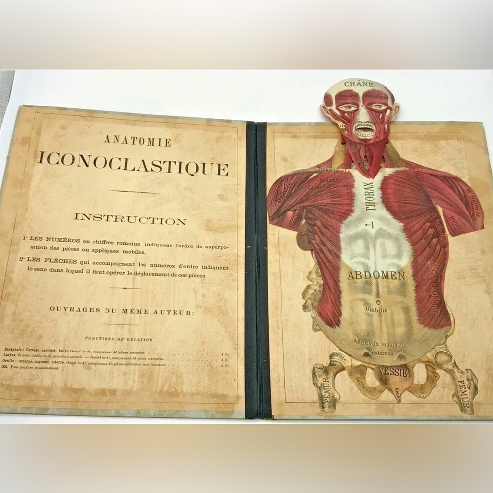 Antique 1875 Rare French Medical Human Anatomy Diagram Pop-up Book G.J. Witkoski